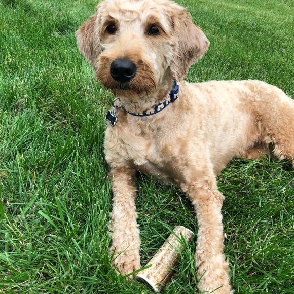 *[welcome]* - Picture 4 of 8